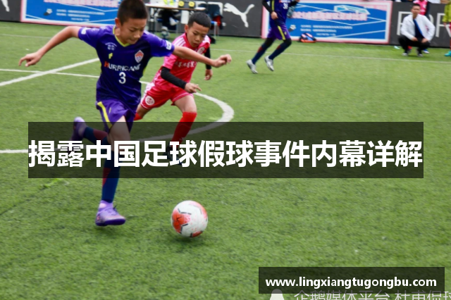 揭露中国足球假球事件内幕详解